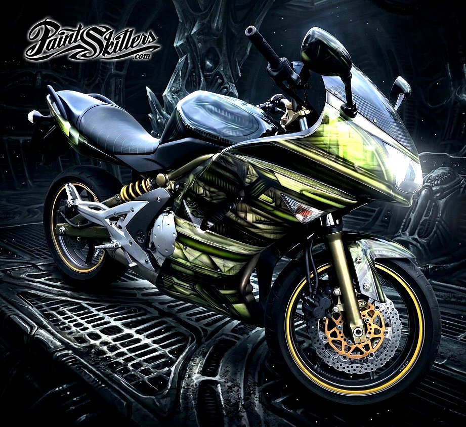 Alien moto Kawasaki ER-6f