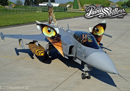 Gripen pro Tiger meet 2011